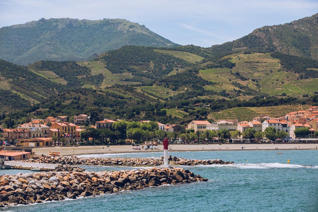 Regina'S Banyuls - Spatious Apartment Next To The Beach Zewnętrze zdjęcie