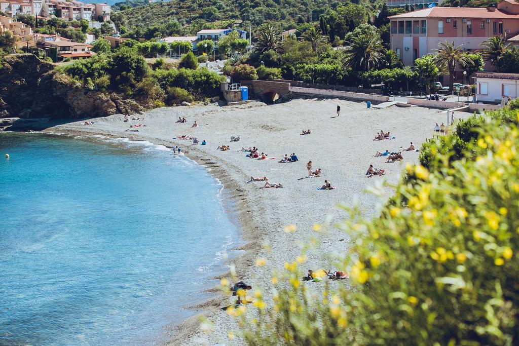 Regina'S Banyuls - Spatious Apartment Next To The Beach Zewnętrze zdjęcie